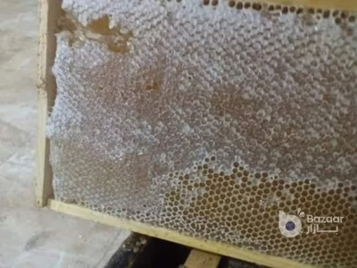 عسل طبيعي 100% مكفول لا آخر نقطة